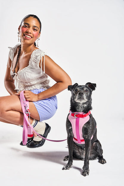 Cushioned Dog Harness
